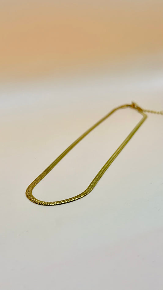 Cadena Panza de Víbora Dorada